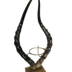 Afro and Arts -IMPALA BULB HOLDER